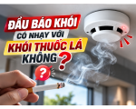 Đầu Báo Khói Có Nhạy Với Khói Thuốc Lá Không?