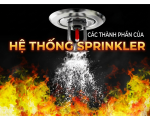 CÁC THÀNH PHẦN CỦA HỆ THỐNG SPRINKLER BAO GỒM NHỮNG GÌ? 