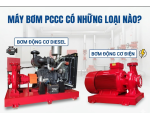 MÁY BƠM PCCC CÓ NHỮNG LOẠI NÀO? PHÂN LOẠI CHI TIẾT CHO DỰ ÁN