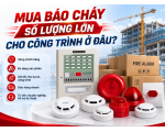 Mua Báo Cháy Số Lượng Lớn Cho Công Trình Ở Đâu? 