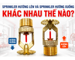 Sprinkler Hướng Lên Và Sprinkler Hướng Xuống Khác Nhau Thế Nào?