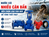 Nước Có Nhiều Cặn Bẩn Nên Chọn Loại Van Nào Để Tăng Tuổi Thọ? 