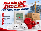 Mua Báo Cháy Số Lượng Lớn Cho Công Trình Ở Đâu? 
