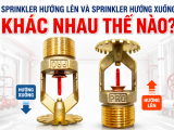 Sprinkler Hướng Lên Và Sprinkler Hướng Xuống Khác Nhau Thế Nào?