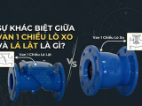Sự khác biệt giữa van 1 chiều lò xo và lá lật là gì?