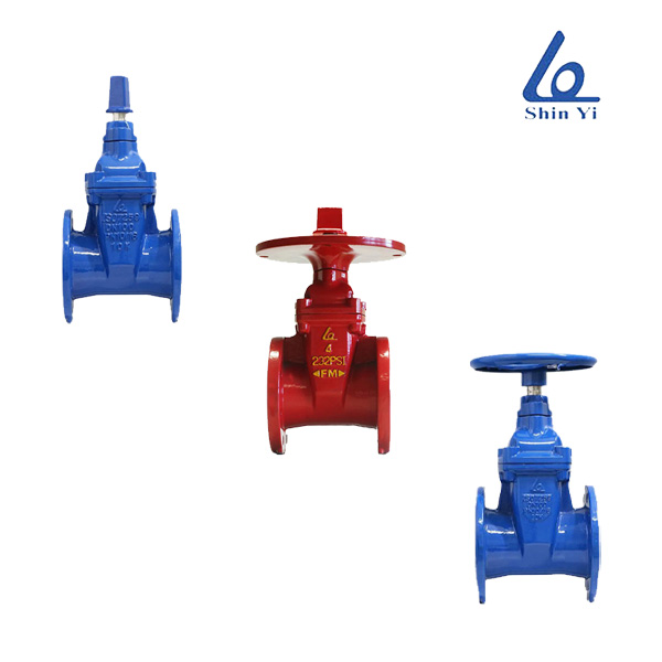 van-cong-ty-chim-Shinyi