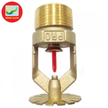 Đầu phun hướng xuống Protector K=14.0 DN20 PS026