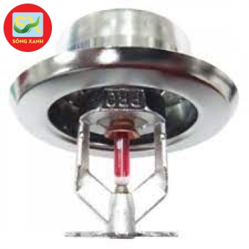 Đầu phun hướng xuống Protector K=8.0 DN20 PS216