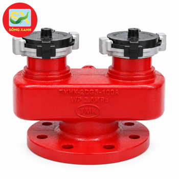 Họng Tiếp Nước Chữa Cháy 2 Cửa DN65 