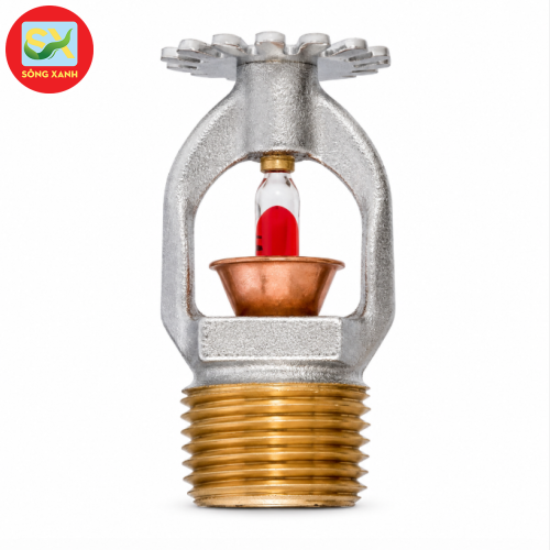 Đầu phun hướng xuống Tyco Anh K=8.0 DN20 TY4251