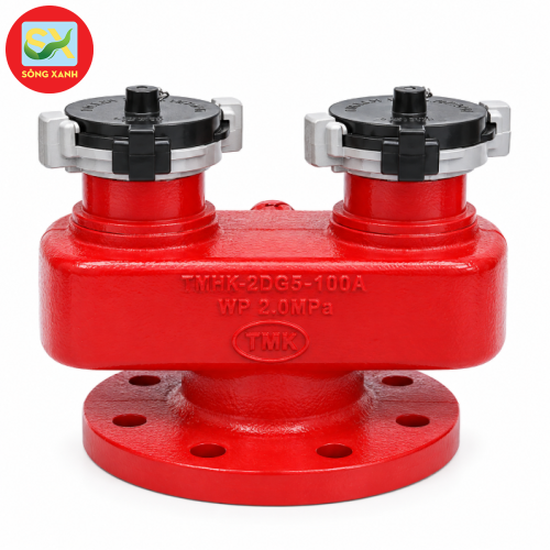 Họng Tiếp Nước Chữa Cháy 2 Cửa DN65 